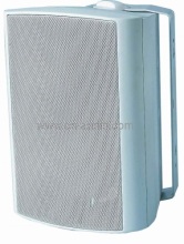 Professional Wall Speaker?