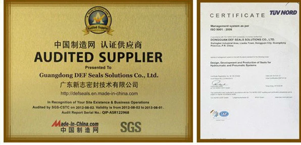 Spring Energized Peek Seals for Cylinder From China Factory