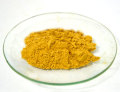 로즈마리 잎 추출물 Carnosic Acid Powder