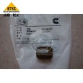 4VBE34RW3 Yedek Parçalar Piston, Baypas Valfi 3820320