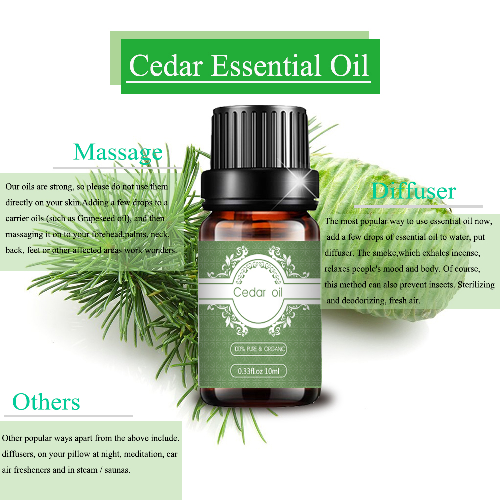 Cedar Essential Oil Organik Ekstrak Tanaman Harga curah