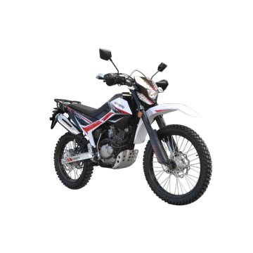 Motard Motor Vehicle 250cc