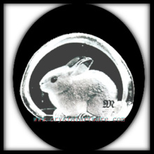 Crystal Intaglio of Mold