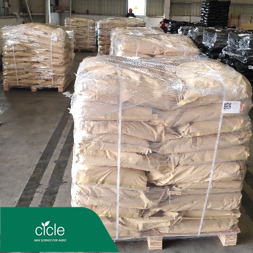 tea saponin powder tea saponin powder