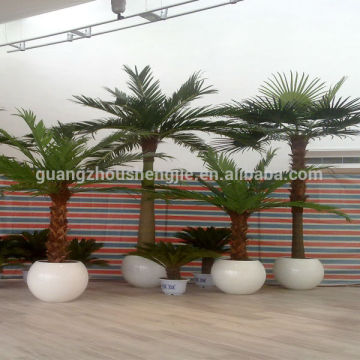 Q082301preserved palm trees miniature plastic palm tree ornamental artificial palm tree