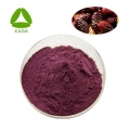 Food Pigment Mulberry Fruit Extract Anthocyanin 25%