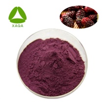 Lebensmittel Pigment Maulbeer-Frucht-Extrakt-Anthocyanin 25%