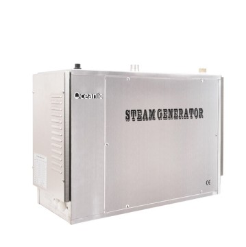 Portable Wet Steam Bath Generator for Vapor Sauna