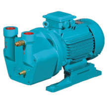 5HP Water Loop Vacuum Pump Search