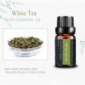 Óleo essencial de chá branco natural para massagem para cuidados com a pele