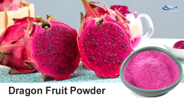 Vacuum Freeze Dried Red Dragon Fruit Powder