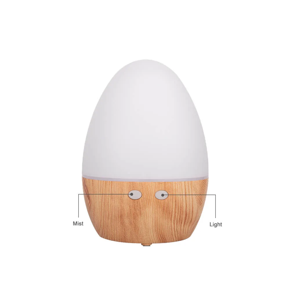 Ultrasonic Aroma Oil Diffuser Humidifier with Aroma Air Freshener Diffuser