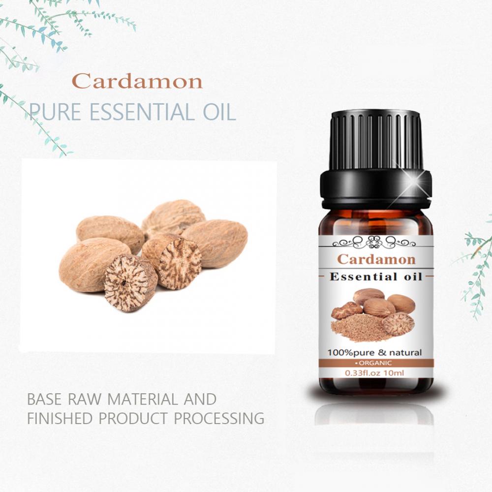 Premium Quality Best Price Aromatic 100% Natural Cardamon Essential Oil