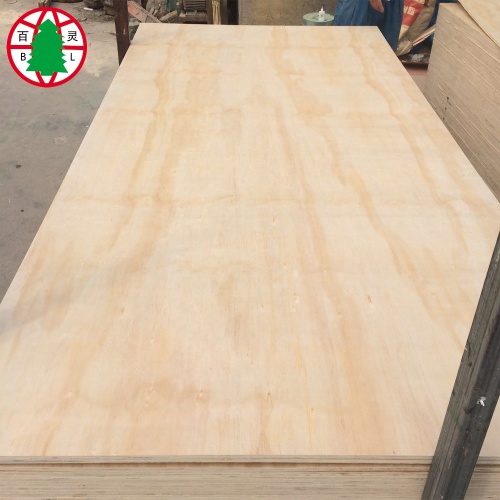 High quality 18mm bintangor veneer plywood for furniture