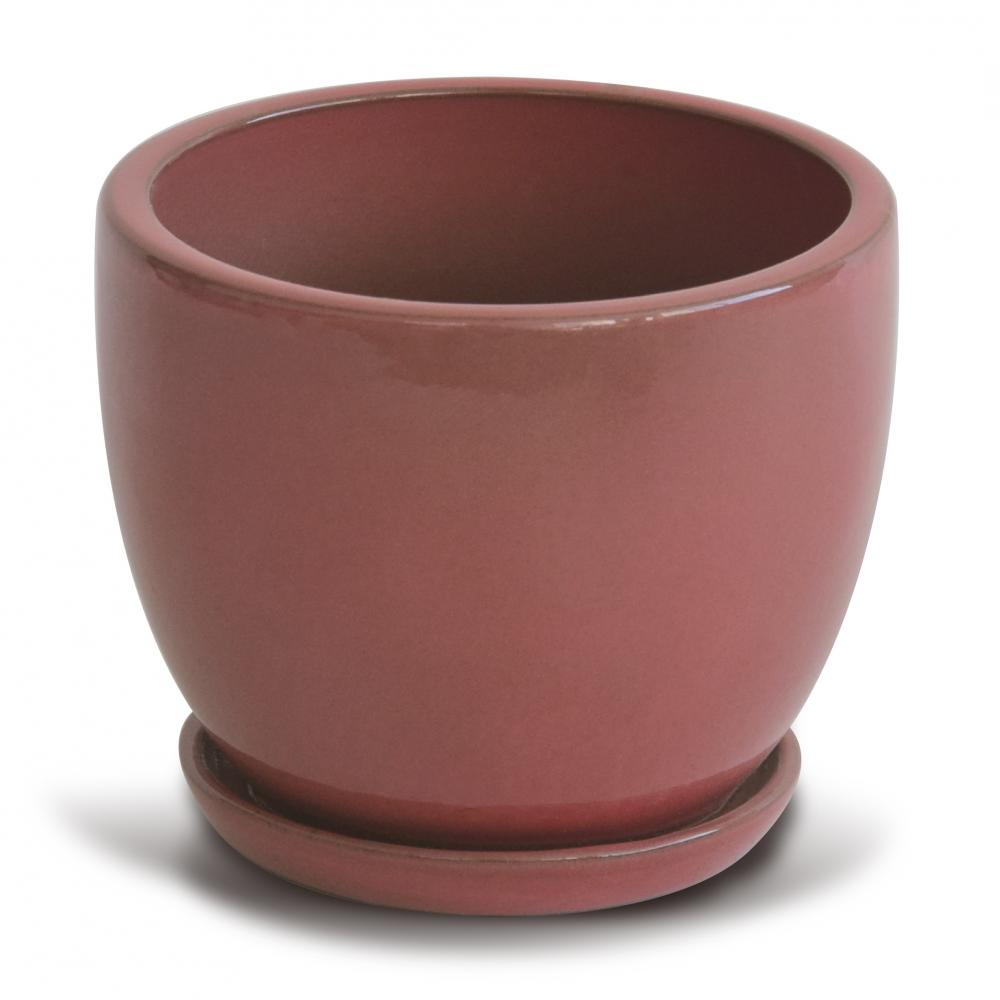 Delicate Flower Pot Rose Red 1