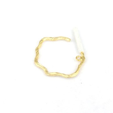 Fashion Earring, Custom Gold-Plated Brass Earring, P4039