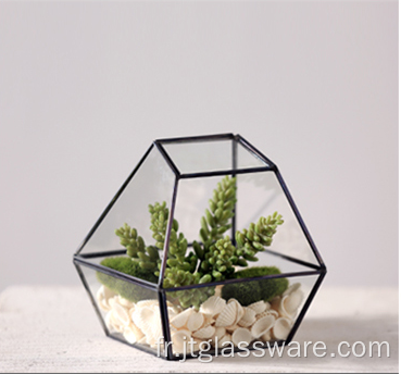 Forme Super Large Verre Terrarium Géométrique