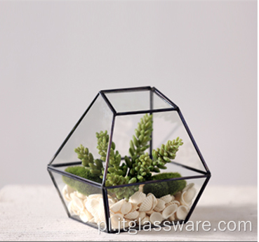 Kształt Super duże szklane terrarium geometryczne