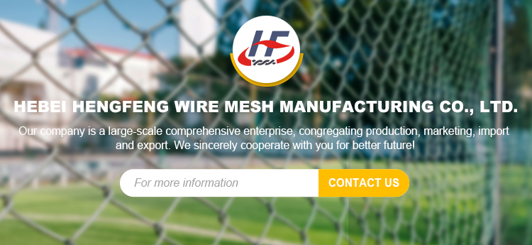 Hot Selling Galvanized wire mesh fence animal mesh fence