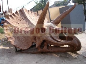 New Fiberglass Museum Quality Triceratops Dinosaur Skull Model