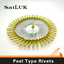 Beautiful Aluminum steel peel type blind rivet /foshan factory