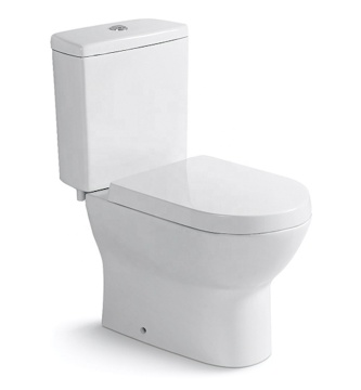 America Professional Low Flow Dual Flush Two Piece Bathroom Toilet