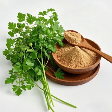 Pure Coriandrum Sativum Extract for Enhanced Skincare