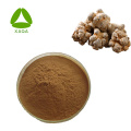 Экстракт Notoginseng Sanchi Notoginsenoside 80% 80418-24-2