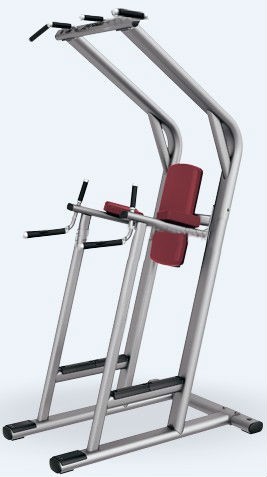 Fitness Equipment Chin Up/Gym Equipment Dip Station