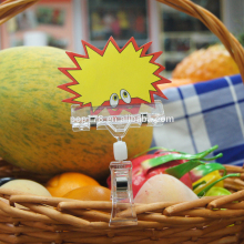 Double-end Used Transparent Plastic Clip