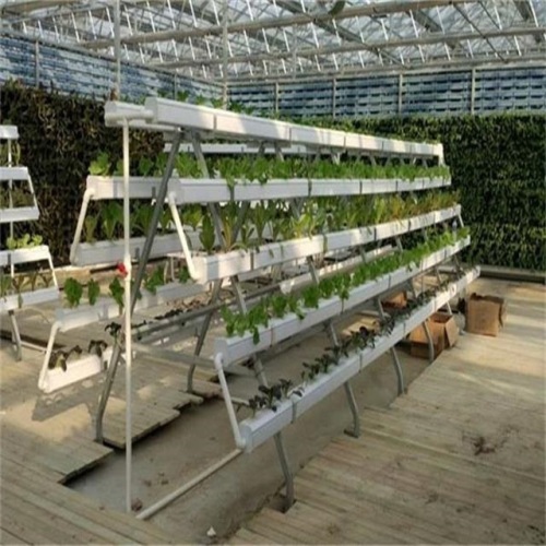 NFT Hydroponics Vegetables Vertikal PVC Tumbuh Sistem