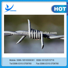 Low Price Thorn steel Barbed Wire Manufacturer For South Africa