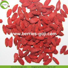 Factory Wholesale Mechanical Drying Wolfberries