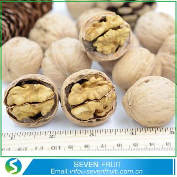 Thin Shell Whole Walnuts In Shell For Sale