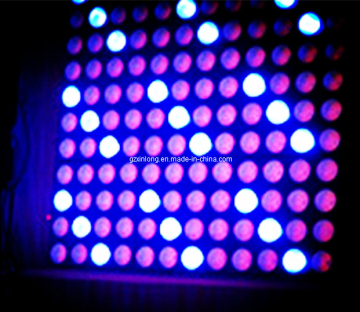 High-Quality 4*4matrix Lamp with Beam Litht