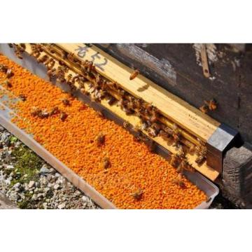 Bee pollen powder with best price