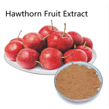 Buy online active ingredients Hawthorn Fruit Extract powder