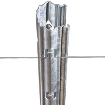 Best Price for Steel Vineyard Trellis Posts/Poles