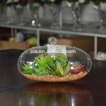 Plastic Succulent Plants Tropical Plants Terrarium Glass