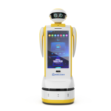 2024 AI Reception Robot: Face Recognition and Marketing Transformer Roboter