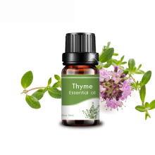 pure Fresh Thyme Essential Oil Improve Memory And Attention