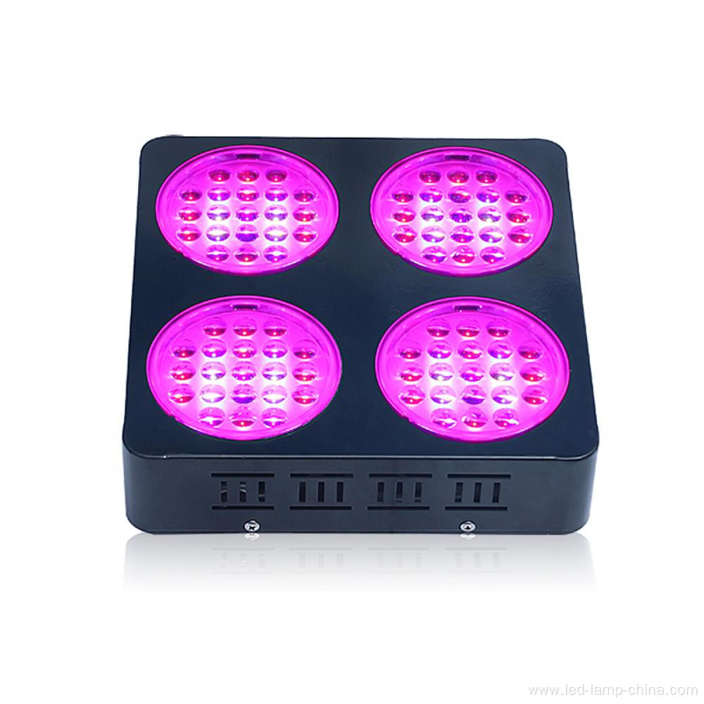 High Perfornance Chip LED Grow Light