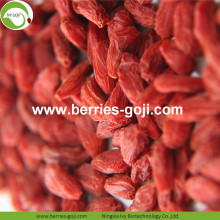 Grosir Pabrik Nutrisi Natural Malaysia Wolfberry