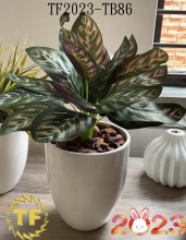 16"Artifical PEACOCK LEAF BUSH