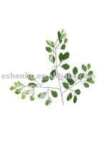artificial/imitation/plastic/man-made silk ficus leaves