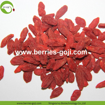 Factory Wholesale Fruit Best Quality Wolfberry