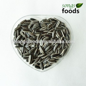 Dried and Bulk Bird Seed Suppliers Wholesale Bird Seed