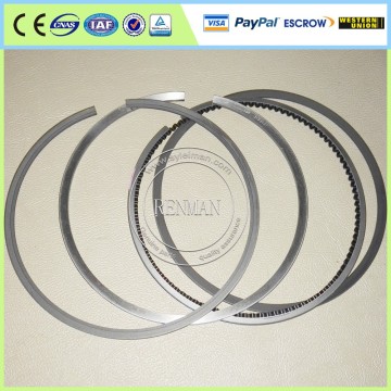 Custom piston rings 3103159