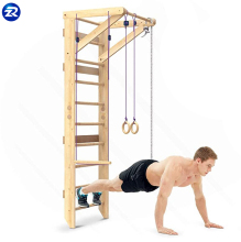Double Indoor Wall-Mounted Wood Stall Gymnastics Ladder & Swedish Wall Bars
