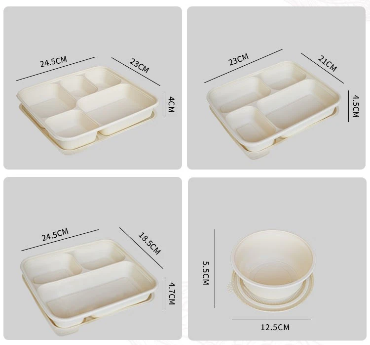 Paper Lunch Paper Pulp Molded Packaging Disposable Biodegradable Food Containers Bagasse Plates 3 Components